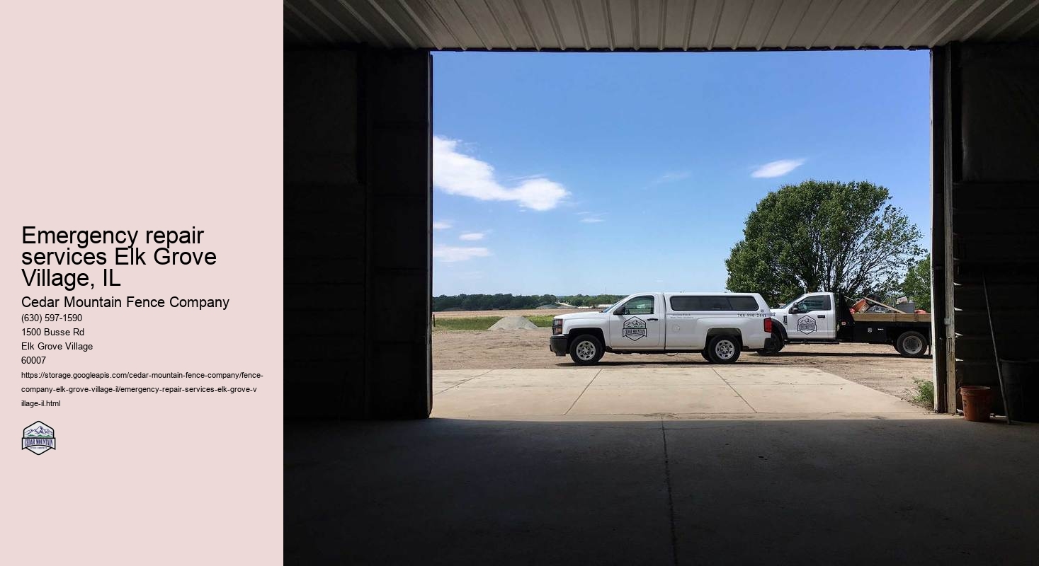 Emergency repair services Elk Grove Village, IL